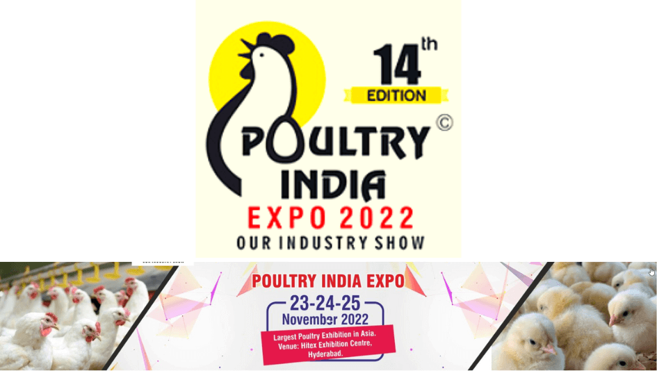 poultry-india-expo-2022-interior-today