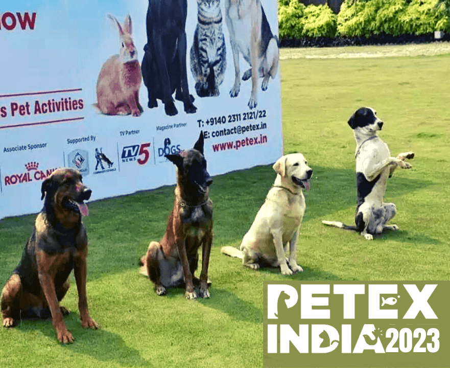 petex-india-expo-2023-interior-today